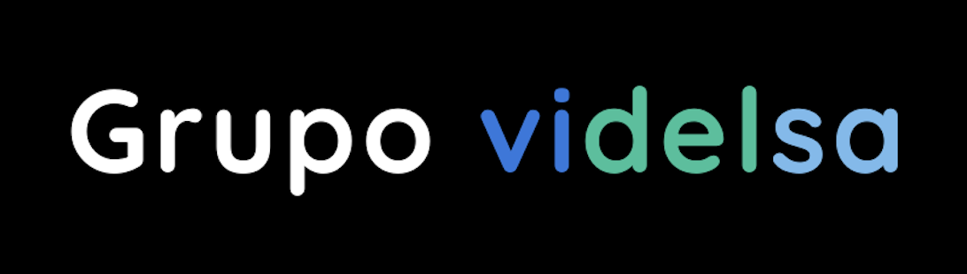 Grupo Videlsa